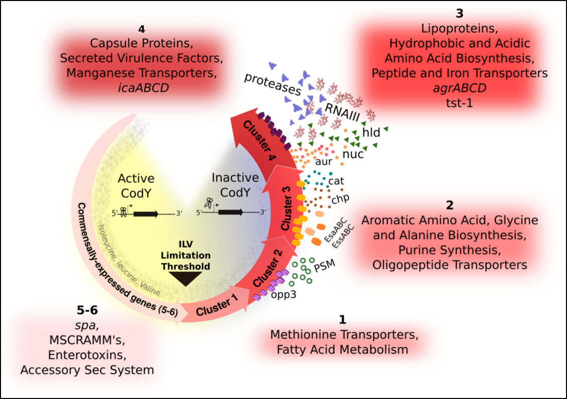 nutrient limitation